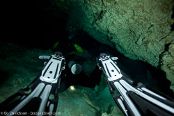 BD-101210-Cenotes-3023-Homo-sapiens.-Linnaeus.-1758-[Diver].jpg